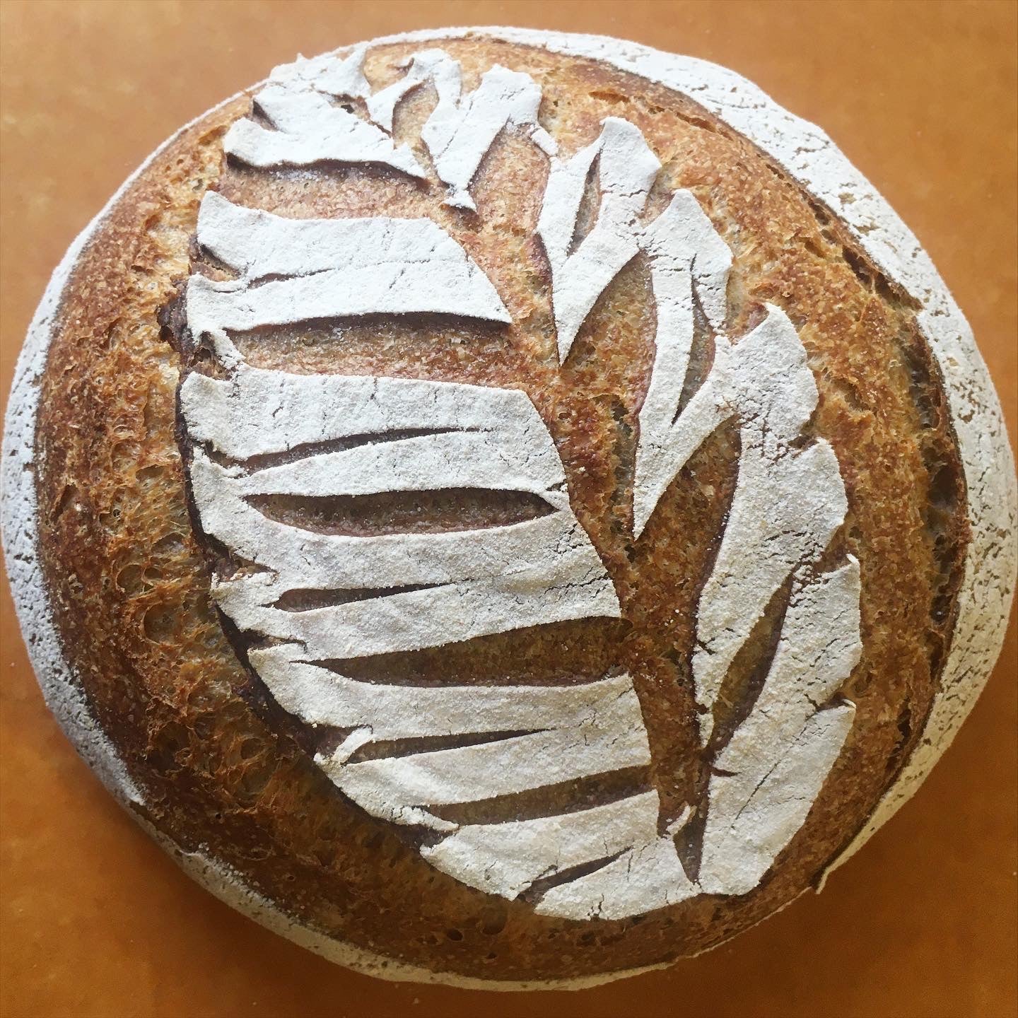 Wild Glory Bakery Gift Card wild-glory-bakery-gift-card