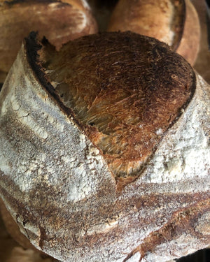 WED September 27 Seedy Country Sourdough porch pick up 4-9pm or LEE ROAD pick up 5-9pm
