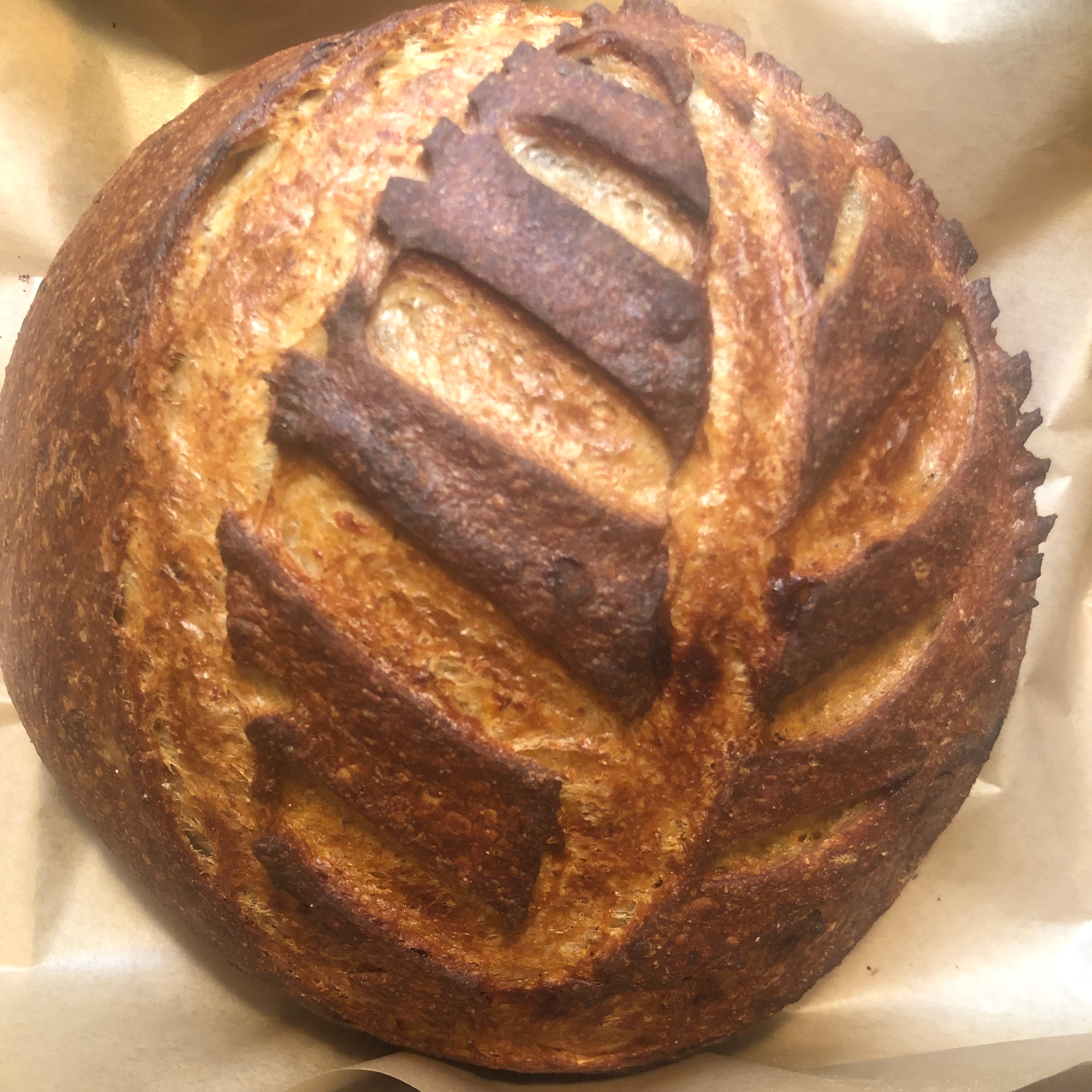 Wild Glory Bakery Gift Card wild-glory-bakery-gift-card