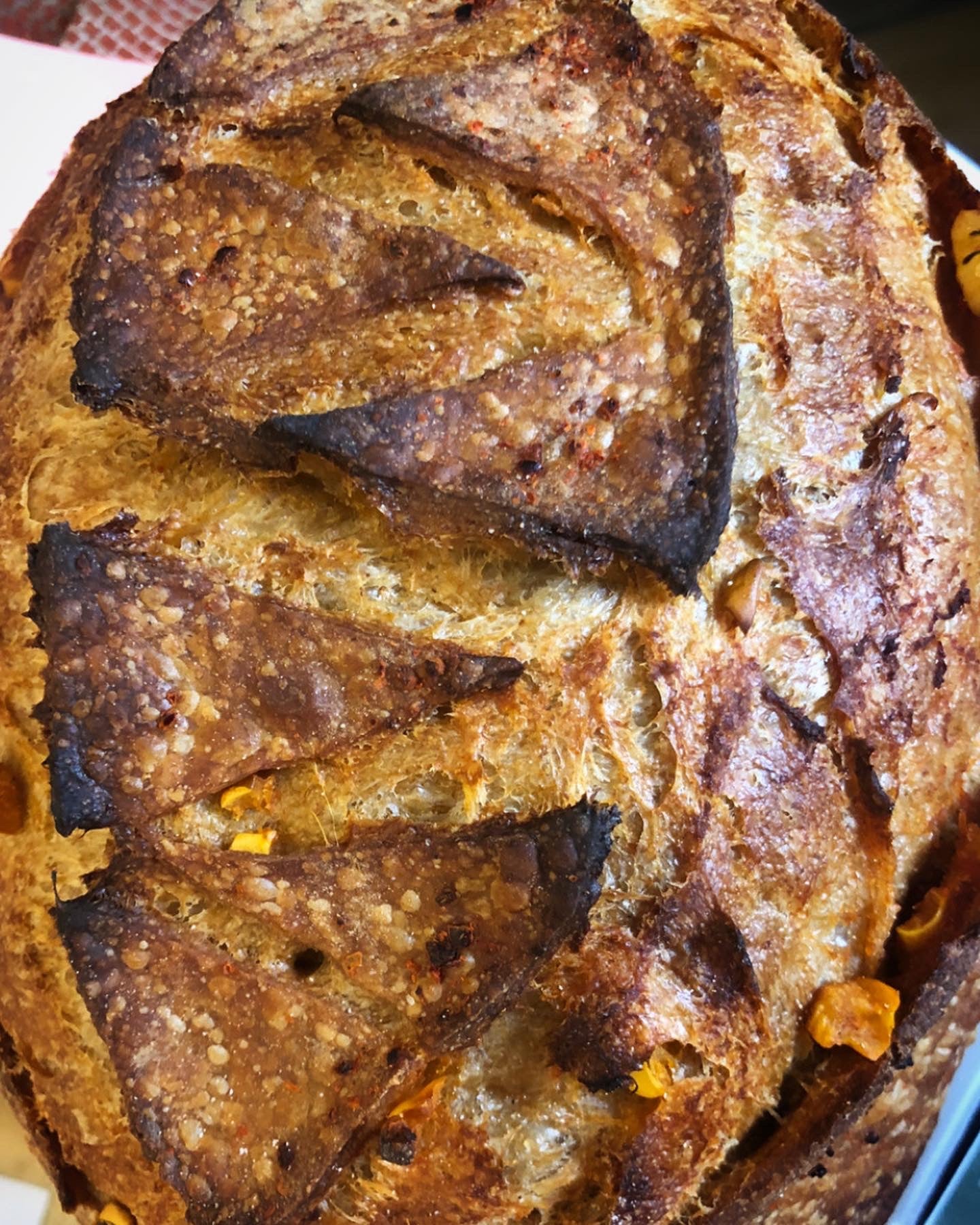 WED september 27 HOT(ish) GOURD sourdough Porch Pick up 4pm-9pm OR Lee Road 5-9pm
